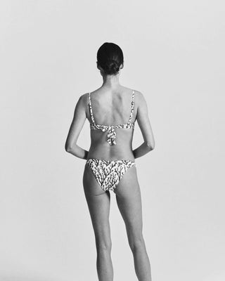 ALICIA SWIM LINDA BIKINI BOTTOM IN DEEP CORAL