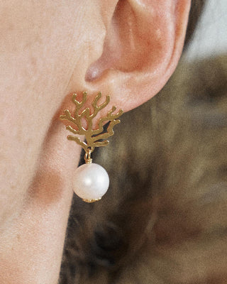 OCEANO JEWELS PLAINE CORAIL EARRINGS