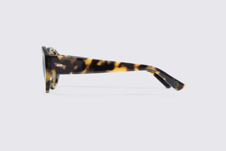 DELARGE BARDI HAVANA SUNGLASSES
