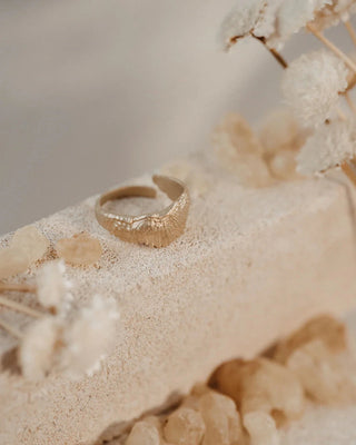 AMARE OMNIA PROTEGIDO RING GOLD