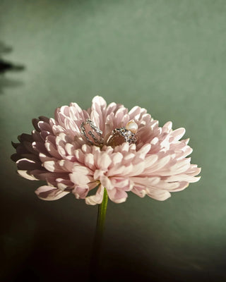 OCEANO JEWELS PLAINE CORAIL RING